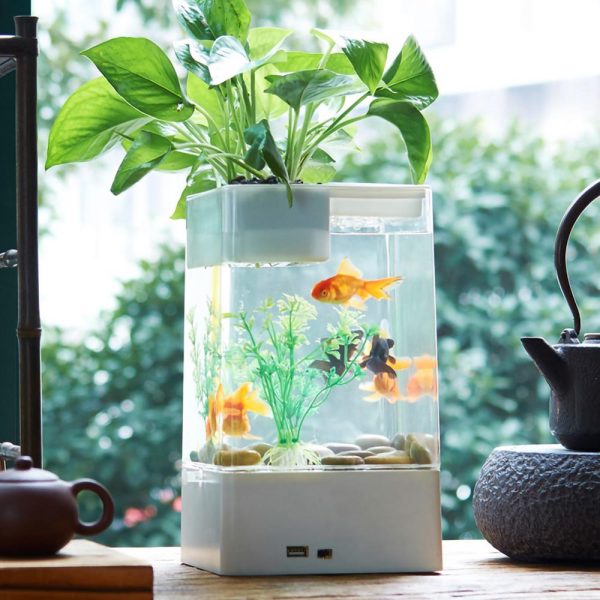 USB Self-cleaning Fish Tank Small Acrylic Goldfish Tank Desktop Transparent Bucket Fish Tank Ecological Bare Cylinder Decor Gift