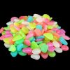 Aquarium Mix Color Garden Decor Luminous Stones Glow In Dark Decorative Pebbles Outdoor Fish Tank Decoration Pebble Rocks