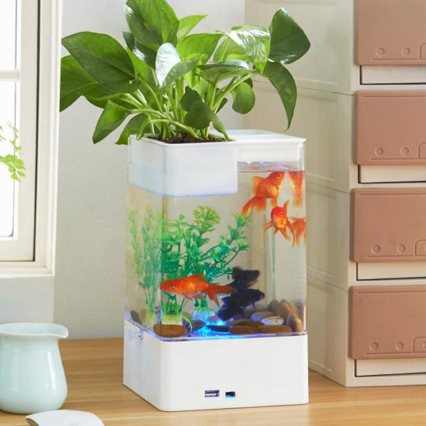 USB Self-cleaning Fish Tank Small Acrylic Goldfish Tank Desktop Transparent Bucket Fish Tank Ecological Bare Cylinder Decor Gift