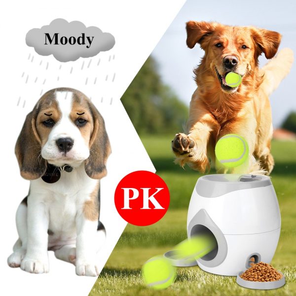 Food Machine Dogs With Tennis Training Interactive Treat Pet Cat Play Toy Game Train Machine